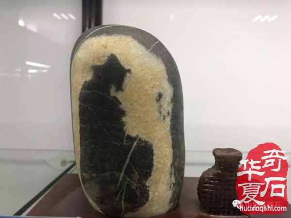 画面石常山海峡两岸赏石文化交流展上争奇斗艳