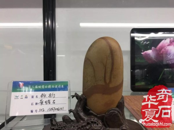 画面石常山海峡两岸赏石文化交流展上争奇斗艳