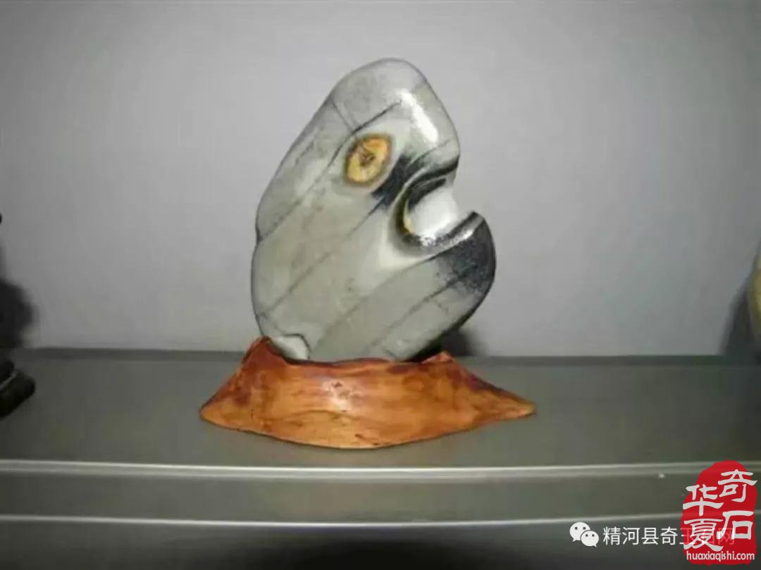 天山青原石这些年在洛阳石展上夺金抢银