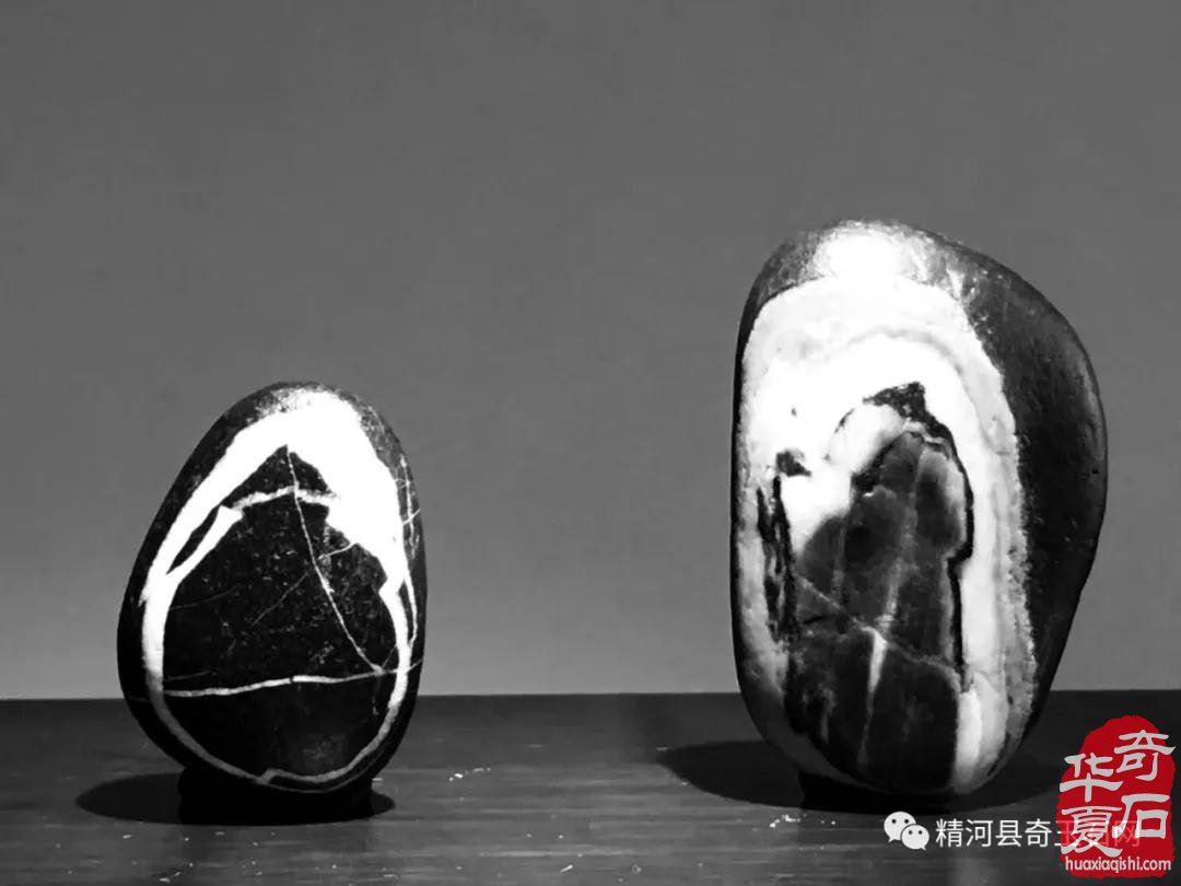 天山青原石这些年在洛阳石展上夺金抢银