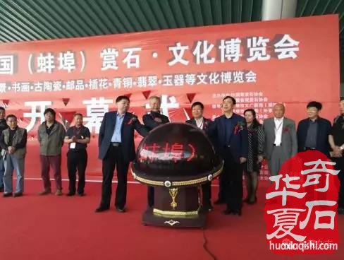 安徽蚌埠市迎来一场赏石文化盛会 图