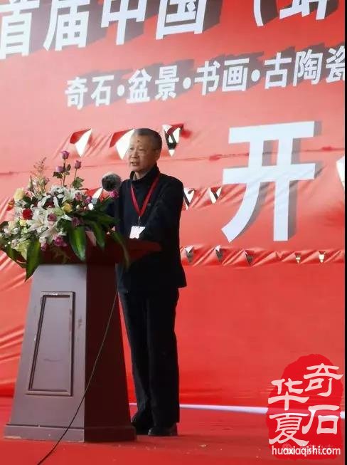安徽蚌埠市迎来一场赏石文化盛会 图