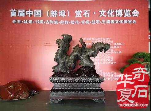 安徽蚌埠市迎来一场赏石文化盛会 图