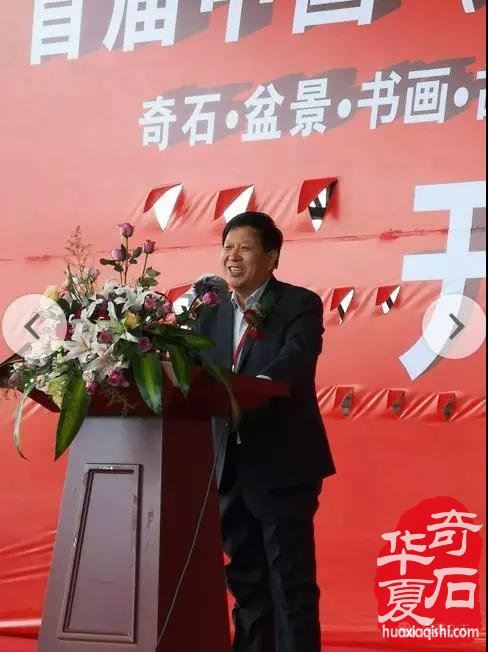 安徽蚌埠市迎来一场赏石文化盛会 图