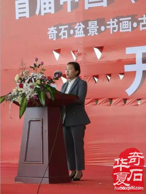 安徽蚌埠市迎来一场赏石文化盛会 图