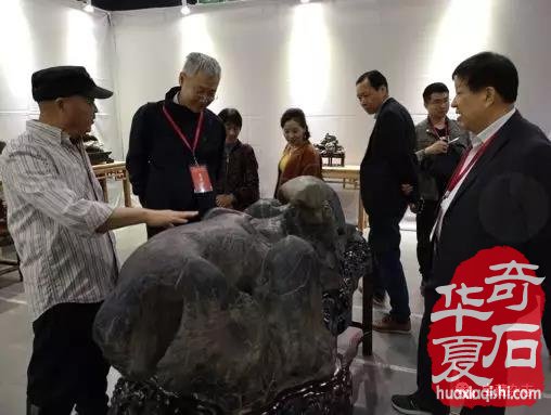 安徽蚌埠市迎来一场赏石文化盛会 图
