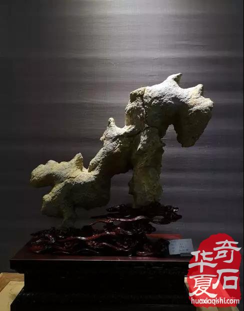 安徽蚌埠市迎来一场赏石文化盛会 图