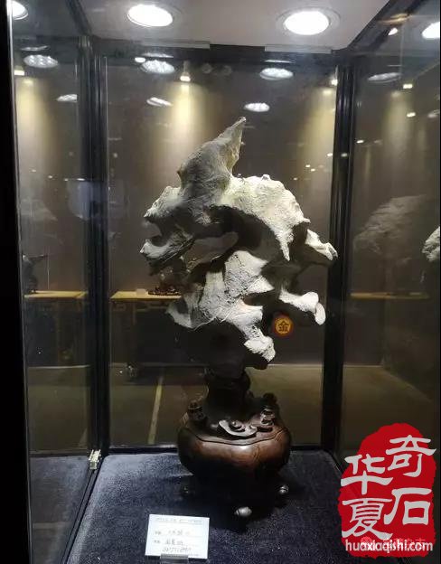 安徽蚌埠市迎来一场赏石文化盛会 图