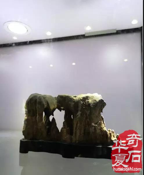 安徽蚌埠市迎来一场赏石文化盛会 图