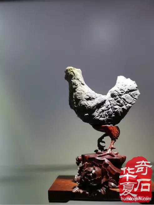 安徽蚌埠市迎来一场赏石文化盛会 图