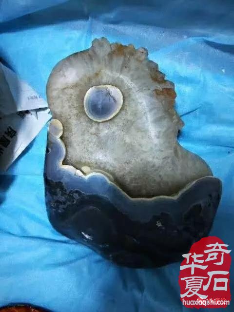 梅玺堂奇石全国免费展示 组图
