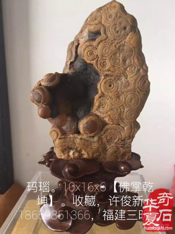 梅玺堂奇石全国免费展示 组图