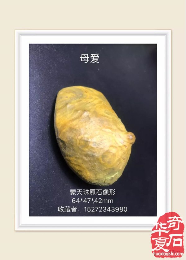 梅玺堂奇石全国免费展示 组图