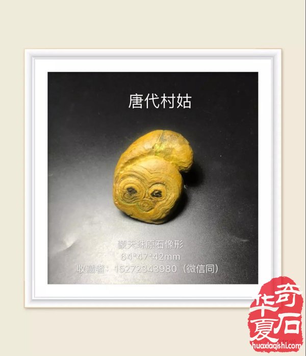 梅玺堂奇石全国免费展示 组图
