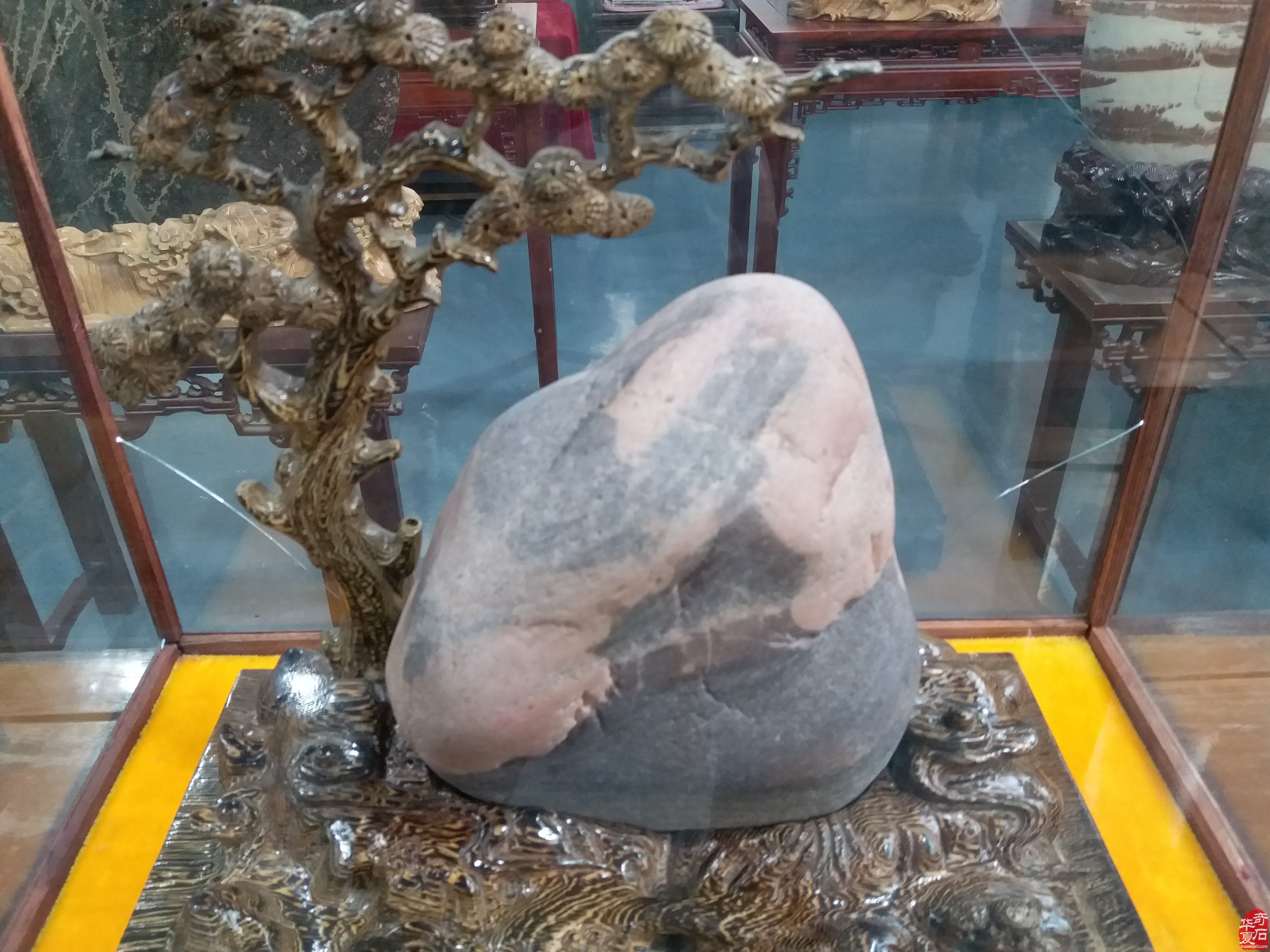 河南奇石网一行参访《洛阳奇石馆》 图