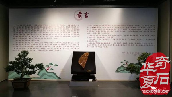 聚焦漳州 专访苏万安谈备展情况 九龙璧精品抢先看 图