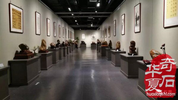 聚焦漳州 专访苏万安谈备展情况 九龙璧精品抢先看 图