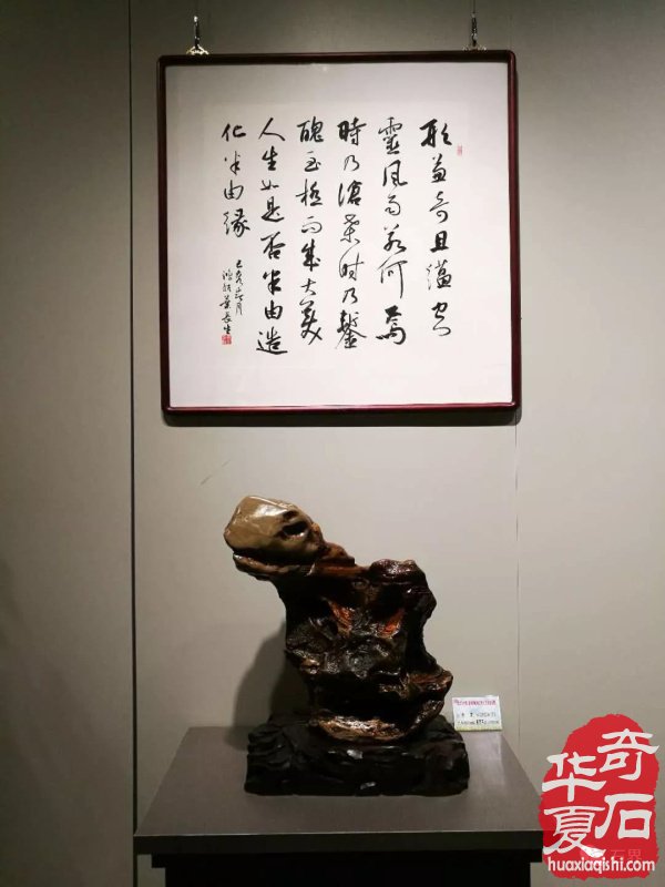 聚焦漳州 专访苏万安谈备展情况 九龙璧精品抢先看 图