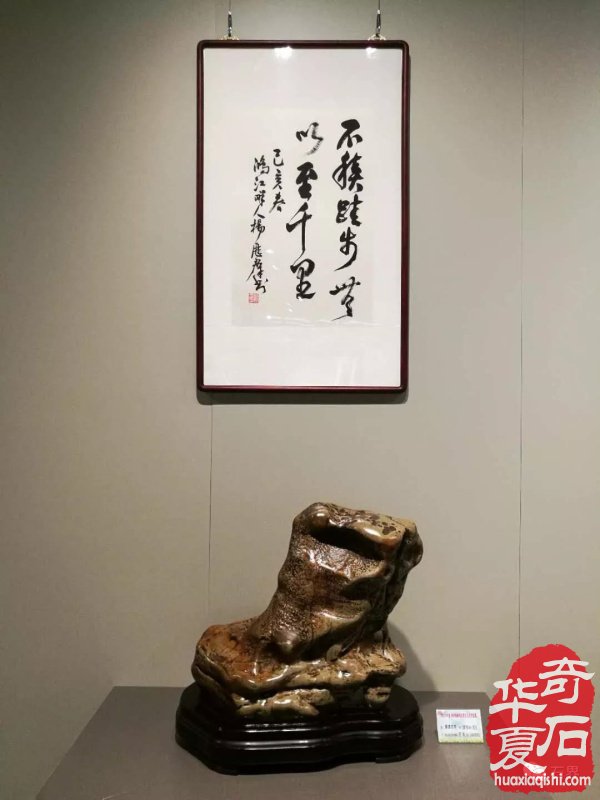 聚焦漳州 专访苏万安谈备展情况 九龙璧精品抢先看 图