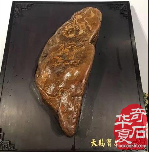 漳州石展盛大开幕 九龙壁惊艳世人 （图）