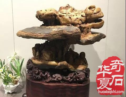 漳州石展盛大开幕 九龙壁惊艳世人 （图）