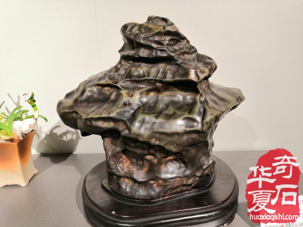 漳州石展盛大开幕 九龙壁惊艳世人 （图）