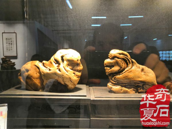 漳州石展盛大开幕 九龙壁惊艳世人 （图）