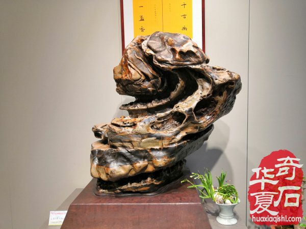 漳州石展盛大开幕 九龙壁惊艳世人 （图）