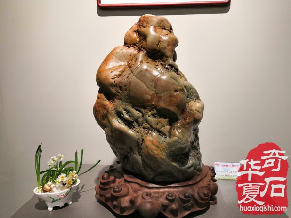 漳州石展盛大开幕 九龙壁惊艳世人 （图）