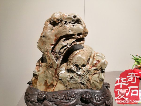 漳州石展盛大开幕 九龙壁惊艳世人 （图）