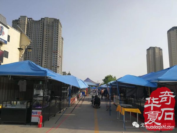“铲”摊啦！石展还没开幕呀 郑州是个“潜力股”