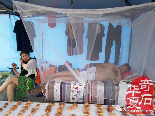 “铲”摊啦！石展还没开幕呀 郑州是个“潜力股”