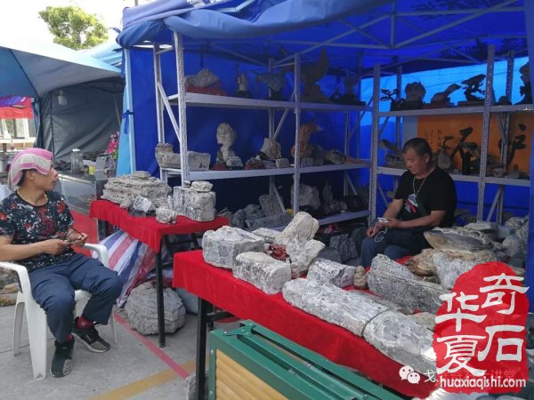 “铲”摊啦！石展还没开幕呀 郑州是个“潜力股”
