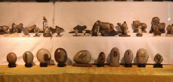 “铲”摊啦！石展还没开幕呀 郑州是个“潜力股”