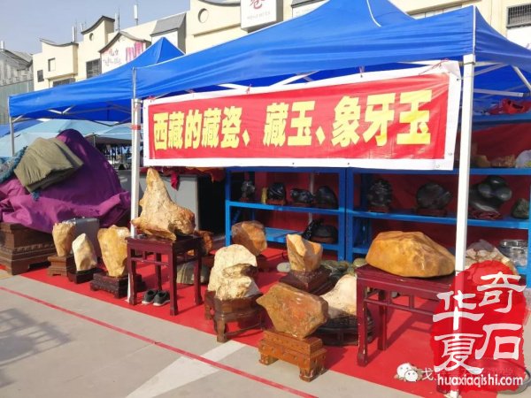 “铲”摊啦！石展还没开幕呀 郑州是个“潜力股”