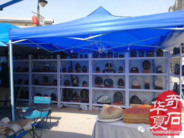 “铲”摊啦！石展还没开幕呀 郑州是个“潜力股”