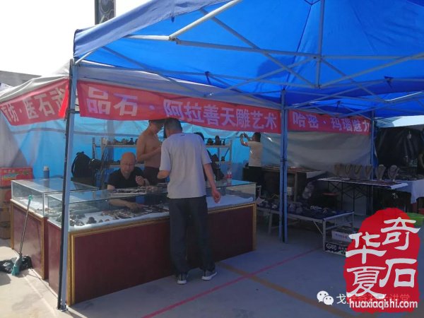 “铲”摊啦！石展还没开幕呀 郑州是个“潜力股”
