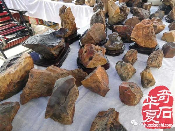 “铲”摊啦！石展还没开幕呀 郑州是个“潜力股”