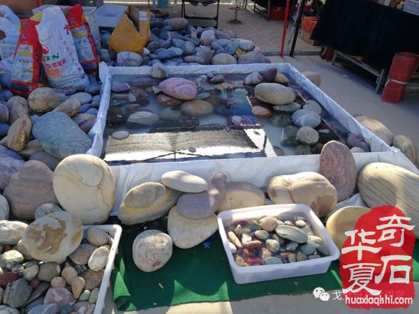 “铲”摊啦！石展还没开幕呀 郑州是个“潜力股”