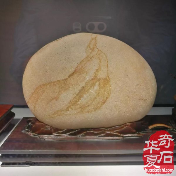 杭州“研山杯”美石抢先看 图