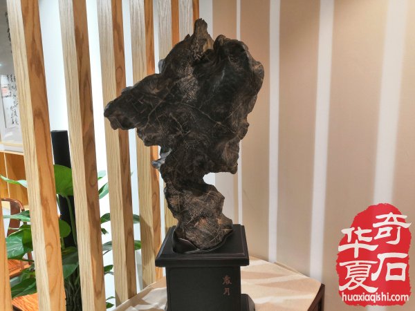 中国（郑州）第三届观赏石博览会盛大开幕精品荟萃