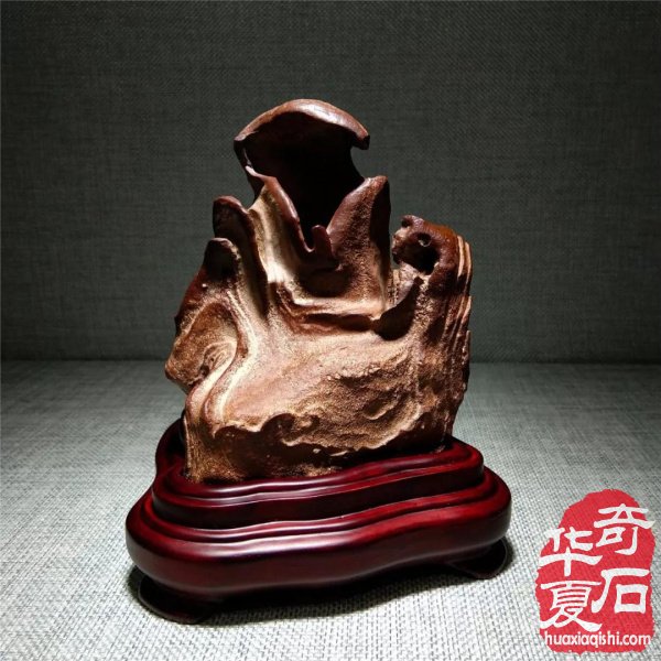 银川石展|十里河奇石花卉城送展作品