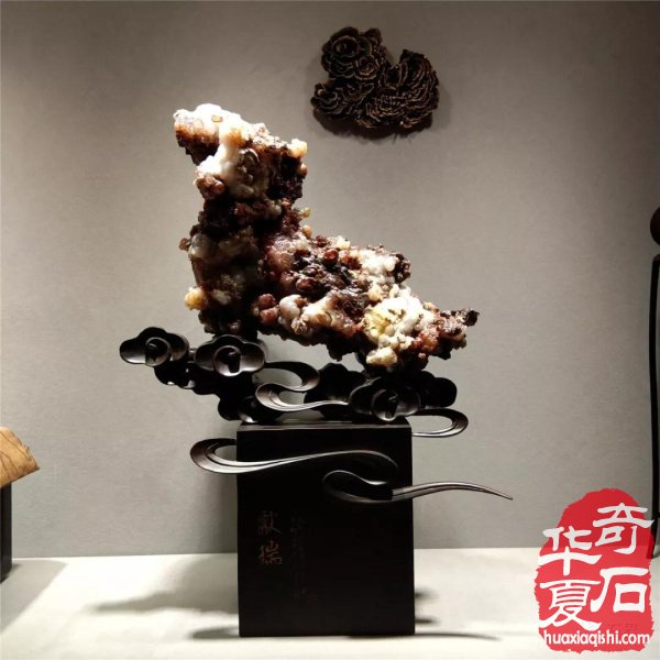 银川石展|十里河奇石花卉城送展作品