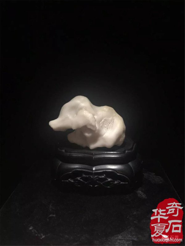 银川石展|十里河奇石花卉城送展作品