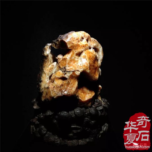 银川石展|十里河奇石花卉城送展作品