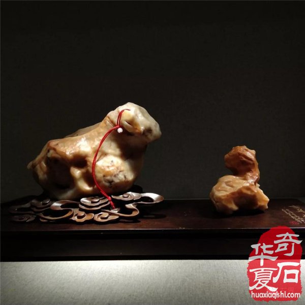 银川石展|十里河奇石花卉城送展作品