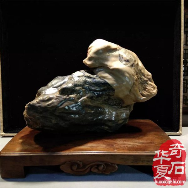 银川石展|十里河奇石花卉城送展作品