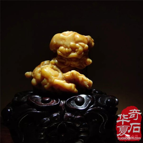 银川石展|十里河奇石花卉城送展作品