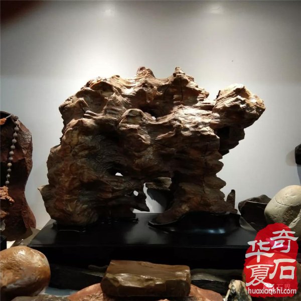 银川石展|十里河奇石花卉城送展作品