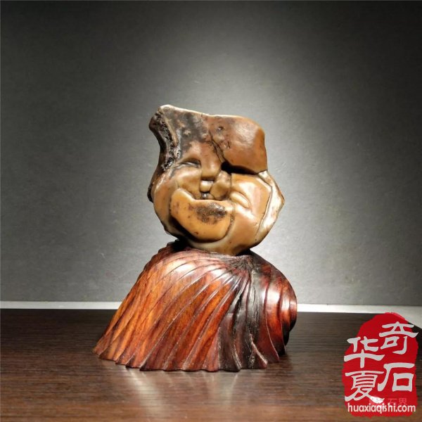 银川石展|十里河奇石花卉城送展作品